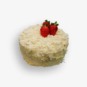 Suspendisse at dolor