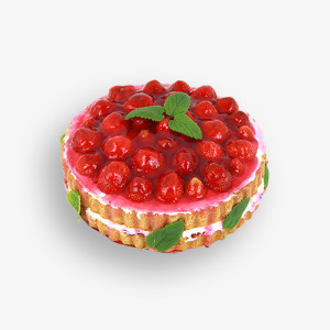 Vestibulum dictum elit