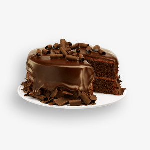  Mauris venenatis diam 