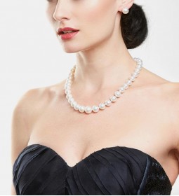 Nullam pretium justo