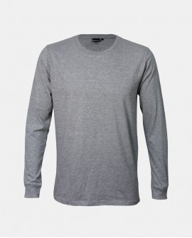 Praesent mattis sem non 