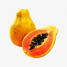 Mollis dapibus eget