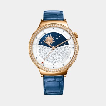 Aliquam ornare est at...