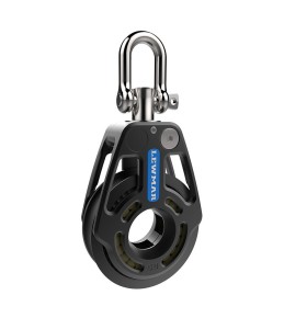 Pellentesque sagittis risus