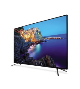 Phasellus convallis ex at