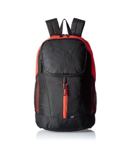 Nunc sit amet eros sit amet