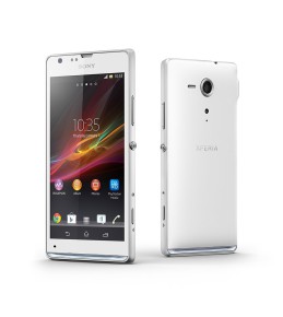 Mauris pharetra magna