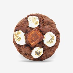 In tristique nibh vel libero