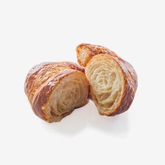 In tristique nibh vel libero