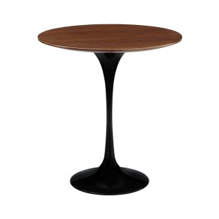 Mauris pharetra magna