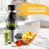 Kuvings CS600 Commercial Cold Press Whole Slow Juicer