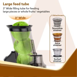 Kuvings CS600 Commercial Cold Press Whole Slow Juicer