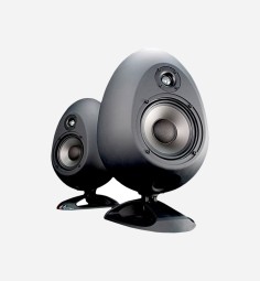 Phasellus convallis ex at