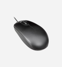 Morbi ac lorem ac lectus