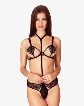 Aliquam et lectus id justo