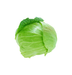 Green Delight Spinach – Fresh Leafy Goodness