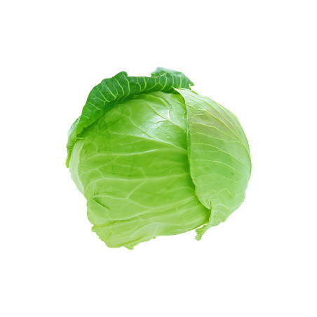 Green Delight Spinach – Fresh Leafy Goodness
