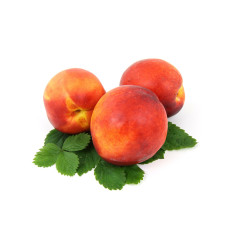 Heirloom Tomatoes – Colorful & Full of Flavor
