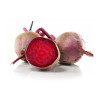 Organic Crimson Apples – Handpicked Daily
