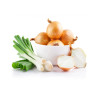 Fresh Ginger Root – Aromatic & Healing