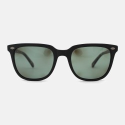 Aliquam ornare est at...